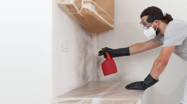 Professional Mold Remediation technician working in Saint James, NY
